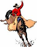 rodeo