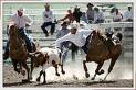 rodeo