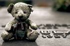 ply�ov� medv�d