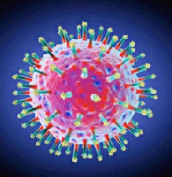 virus chripky