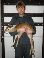 V ZOO Dv�r Kr�lov� se narodilo 420. ml�d� vodu�ky �erven�